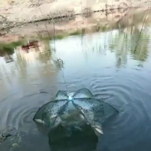 Payung Jaring Jala Perangkap Ikan Udang Kepiting Murah