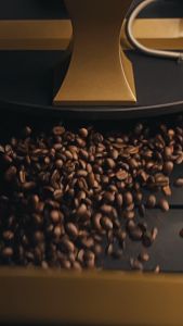 Brazil Santos 100% Arabica Coffee | Pure Grounds Coffee Co.
