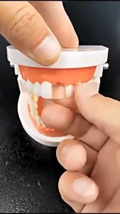 Temptooth Lem Gigi Palsu 120 Butir Penambal Gigi