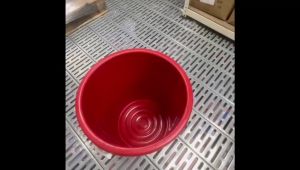 [UnihomSG] 8 Sizes Twins Dolphin Water Pails or Buckets Mopping Pail 1-8 Gallon Red / Blue