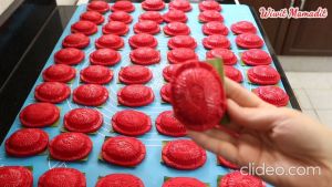 Cetakan Kue Ku Plastik / Cetakan Kue Tok / Cetakan Kue basah / Cetakan Kue Angku