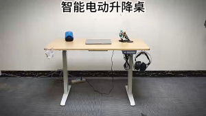 Domestix Ergonomic Standing Desk Electric Height Adjustable Gaming Table 3 Memory Height 2 Years Warranty