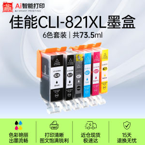 XIYIN | Compatible Printer Ink Cartridges for Canon PGI-820 CLI-821
