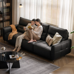WEISHA | Home 3 Seater Straight Sofa Genuine Leather