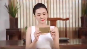 Ginger Patch/Plaster for Natural Pain Relief Joint Healing Fatigue Erasure and Blood Circulation