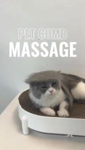 Rechargeable steam Cat and Dog Grooming Comb Electric water spray Curry Comb massage brush for short and long haired animals sikat  mandisilikon