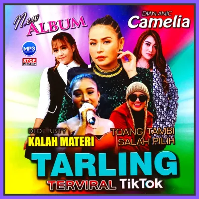 Kaset MP3 Audio Musik 90 Lagu Jawa Tarling Cirebonan Campuran Album Terviral 2025
