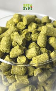 ฮอปส์ Mosaic (US) Hops – CRYO โดย Yakima Chief Hops |ทำเบียร์ Homebrew