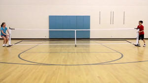 Pickleball Nets Portable Outdoor 22 FT Pickleball Net USAPA Size Pickle Ball Game Net System with Carrying Bag