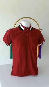 โปโลสีเลือดหมู