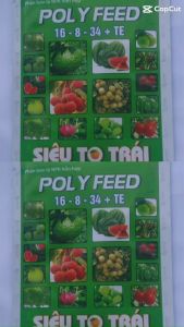 Polyfeed NPK 40Gr – Giải Pháp Dinh Dưỡng Toàn Diện Cho Mọi Cây Trồng