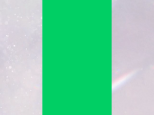 Nulife 100gr Grante Bites Chocolate Coconut Kalbe Snack Cemilan Dari Bahan Nabati Cemilan Sehat Kelapa Untuk Vegetarian Nu Life