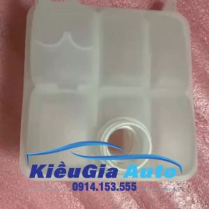 Bình nước phụ Ford Focus 2005-2012