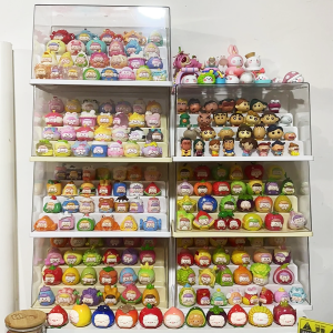 MEIRENZHAN | Dustproof Multi-level Transparent Display Shelf for Collectibles