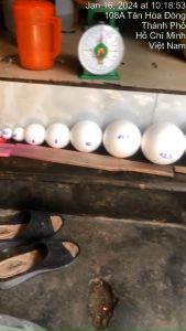 Combo 10 Banh Tròn Xốp ( Xốp Tròn)  Kích Thước 6.9cm - 8cm