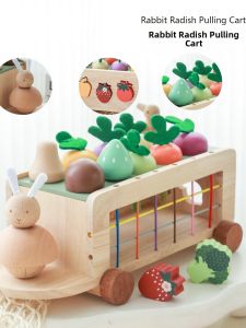 Fruit and Vegetable Shape Matching Pull-along Toy Car Educational Farm Orchard Learning Shape Recognition