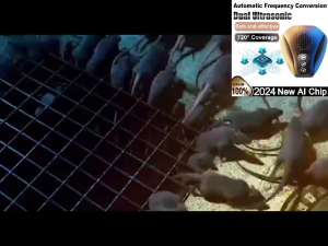 Mosquito Repellent Ultrasonic Mosquito Repellent Rodent Repellent Electronic Insect Repellent Household Rodent no more rats Breeze Rat repellent ultrasonic Ultrasonic pest repeller Penghalau serangga ultrasonic Safe and radiation-free COD