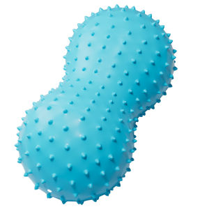 Balance and Sensory Training Anti-burst Ball