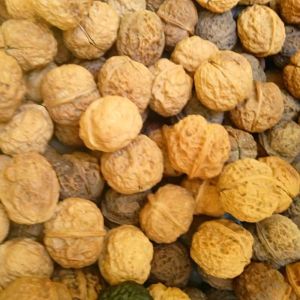 เลื่อมหินกิ่งไม้เล็กสำหรับเล่นด้วยมือ สิบล้อเลื่อมธรรมชาติจาก Yunnan สำหรับธุรกิจและโชว์ 100% ไม้ อุปกรณ์ตกแต่งห้องนอน