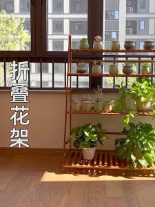 Multilayer Indoor Plant Stand Flower Shelf