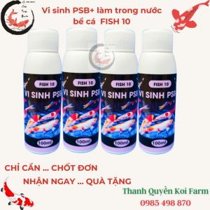 Vi sinh PSB+ làm trong nước bể cá hồ cá Koi cá cảnh  Fish 10