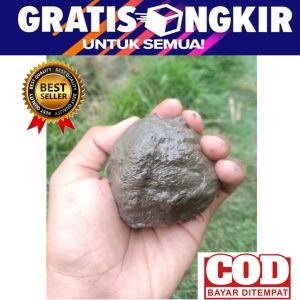 lem pulut pikat burung jadi langsung pakai warna kayu