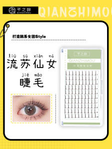Natural Looking Single Eyelash Extensions DIY Adhesive Sunflower Style Fairy Hair Individual Fake Lashes Comfortable Easy Use