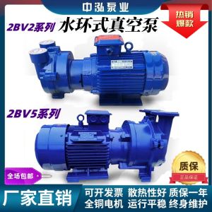 High Vacuum Water Ring Pump Industrial Use Circulating Liquid Vacuum Pump Compressor Cast Iron Material Electric Drive