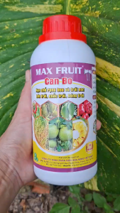 [TRUNG THIEN THINH] Phân bón lá Canxi Bo hạn chế rụng hoa và trái non bổ dung canxi và bo cho cây ăn trái chai 500ml