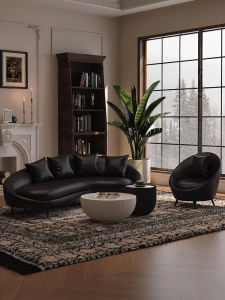HUASHEMEIJI | Ergonomic Retro Sofa Black