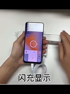 Longhe vivo 44W fast charging intelligent temperature control charger(super VOOC 4.0)