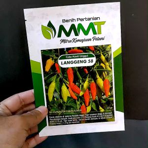 BENIH CABAI RAWIT UNGGUL LANGGENG 58 10 GR MMT
