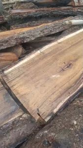 ม้านั่งไม้อคาเซียแผ่นเดียว ม้านั่งสนาม ม้านั่งยาว ม้านั่งไม้ เก้าอี้ไม้ เก้าอี้ยาว ม้านั่งกลางแจ้ง เก้าอี้สนาม Bench Chair Wood