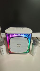 Colorful LED Dance Lights & YS308 Speaker: A Family Party KTV Experience