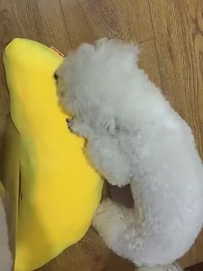 HOOPET | Entertainment Sounding Pet Dog Plush Toy