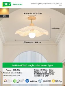 DGY | Modern Simple Style LED Ceiling Light