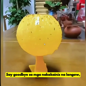 CHAINSHOP Fruit Fly Traps Fruit Fly Catcher Multifunction Citrus Shaped for Indoor Outdoor