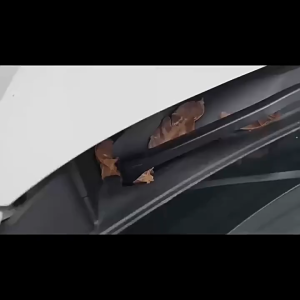 สินค้าพร้อมส่ง ไป4ชิ้นมีที่ปัดน้ำฝนรถยนต์รูฝาครอบป้องกันอุปกรณ์เสริมที่ปัดน้ำฝน Wiper Hole Protection Cover