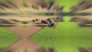 หญ้ามาเลเชีย มาเลย์ ปูสนาม ปูพื้น แบบสด ของจริง พร้อมปลูกมีดินติดราก