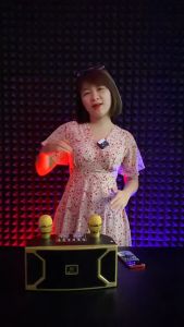 Loa Karaoke Bluetooth YS211 Kèm 2 Micro Không Dây Âm Thanh Hay Thiết Kế Nhỏ Gọn 2 bass âm thanh lớn