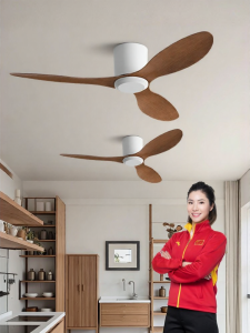 HUANGJIANG | High-power Quiet Inverter Ceiling Fan