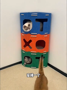 Lovinland Felt Cat House with Holes Stackable Cat Castle House Corner Design Sturdy Cat Condo Four Seasons Folding Space Saving Detachable Semi-Enclosed Cat Bed
