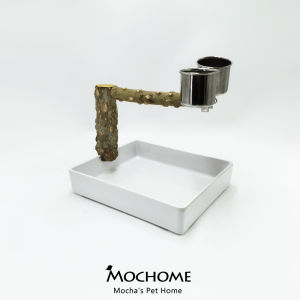 Real Wood Bird Training Stand Tiger Skin Parrot Desktop Toilet Training Station Pole Platform Stick Medium Small Size Support