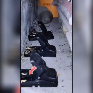 bẫy chuột thông minh Thế hệ mới kèm lò xo đàn hồi với độ nhạy cao