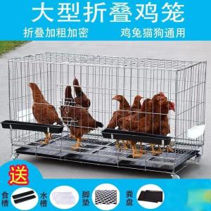 Giá Treo Trứng Gia Cầm Ngoài Trời Đa Năng Chống Cáo Ve Hạc Cho Gia Cầm Và Vịt Sử Dụng Tại Nhà Nông Thôn