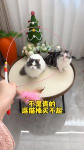 😺Cat Toy😺 Feather Cat Teaser with Bell Kitten Flexible Stick Toy Funny Cat Toy Elastic Fur Pet Play Toy Colorful Cat Rod Mainan Kucing Dengan Loceng 猫玩具逗猫棒