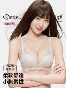 Soft Support Lace Bra Womens Gather Small Chest Anti-Sagging Seamless Modal Underwear Fixed Strap V-Neck Mid-Thick Cup