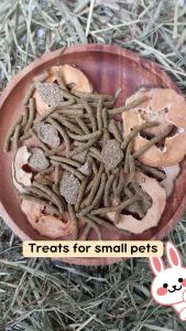 Dried Papaya Treats For Rabbit Guinea Pig Hamster Chinchilla Mice & Other Small Pets
