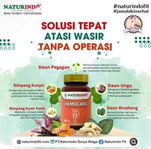 Hemocare Obat Wasir Ambeien Stadium 1-4 Ampuh Tanpa Oprasi - Obat Herbal HEMOCARE Naturindo (Spesial Atasi Wasir)