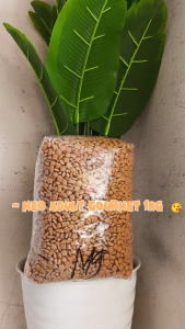 Meo adult Salmon 1kg makanan kering kucing me-o